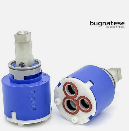 19598 CARTUCCIA CON ALZALEVA.JPG